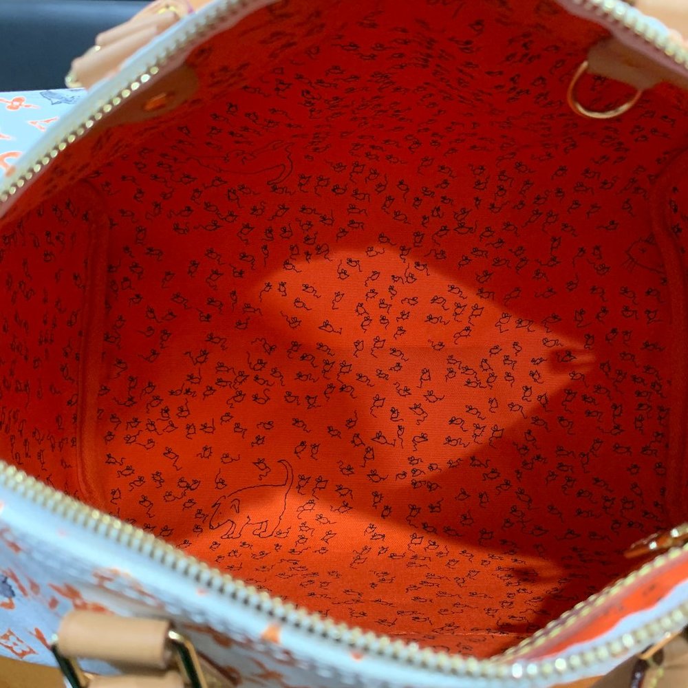 ❌EXCLUSIVE Louis Vuitton Catogram Speedy White Bag - Picture 9 of 14